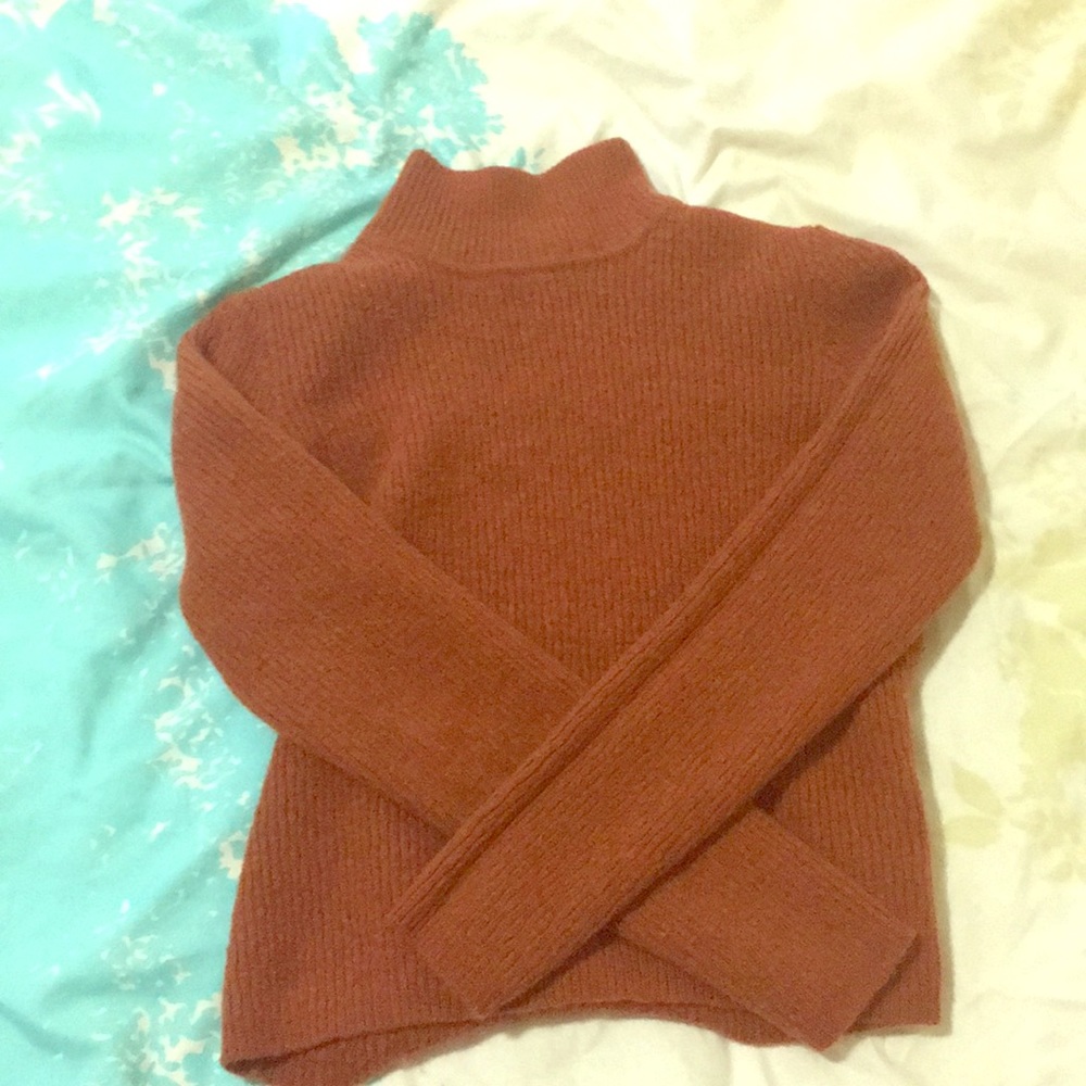 Brown Crop Top Knit Turtleneck Sweater